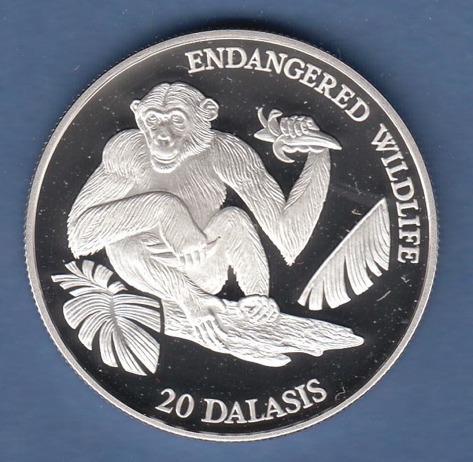 Gambia 1994 Silbermünze ENDANGERED WILDLIFE Schimpanse 20 Dalasis PP